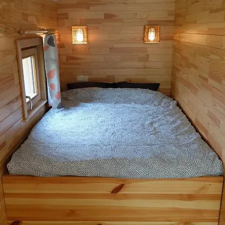 Des Saules Kemp Jurbise