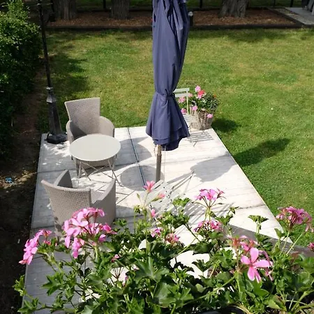 Des Saules * Jurbise