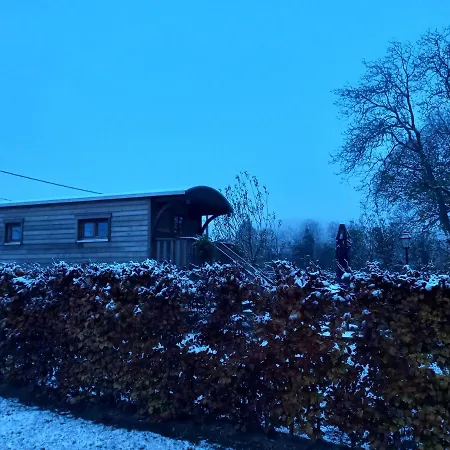 Campsite Des Saules Jurbise