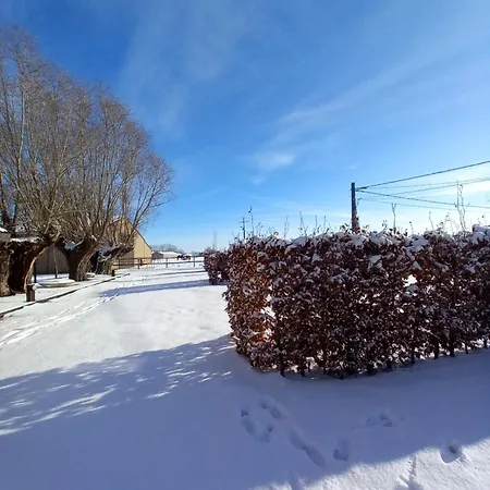 Des Saules * Jurbise